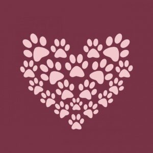 paw print, paw prints, heart-220232.jpg